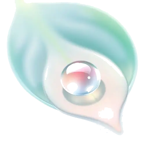 Welcome to Lifemotto.Cloud